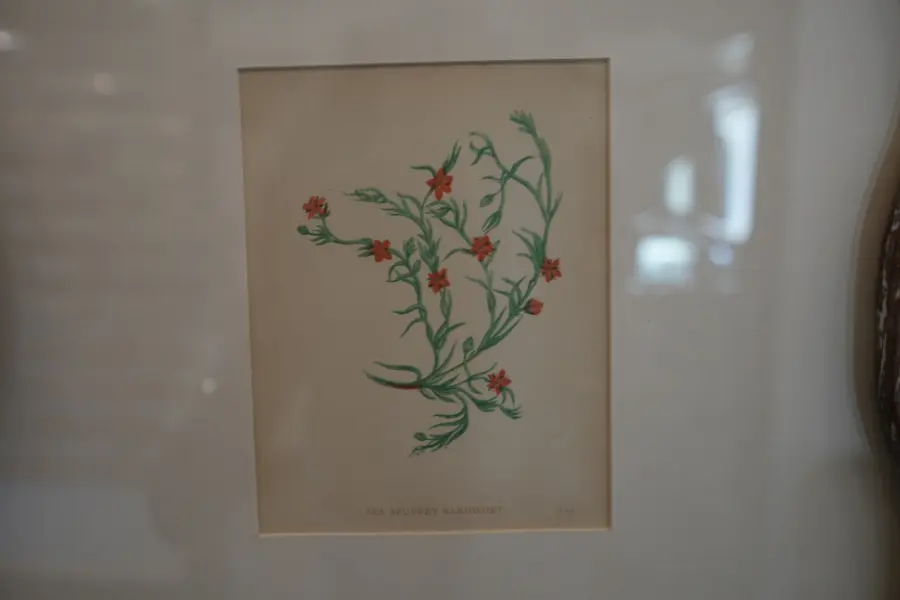 Botanical artwork framed in glass showcasing vintage floral illustration in luxury interior decor at Circa Warehouse